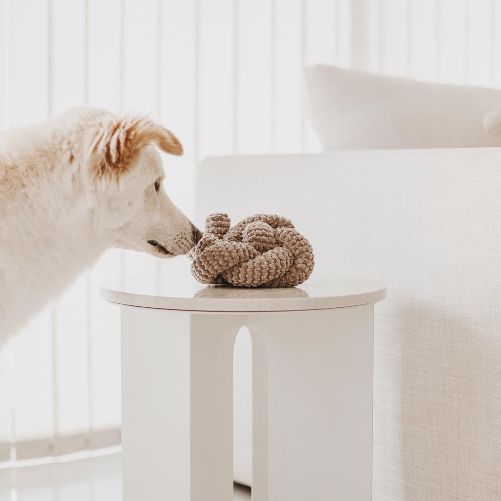 play objects | dog toys | enrichment toys | squeaky toy | Lambwolf Collective