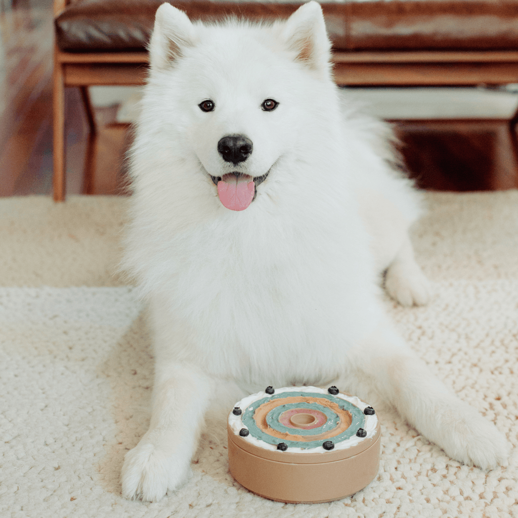 3 - IN - 1 BENTO - Lambwolf Collective