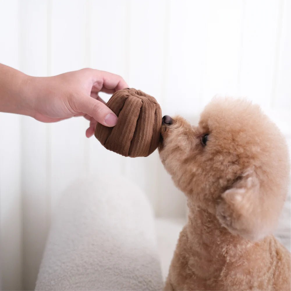 CANELE squeaky + snuffle - Lambwolf Collective