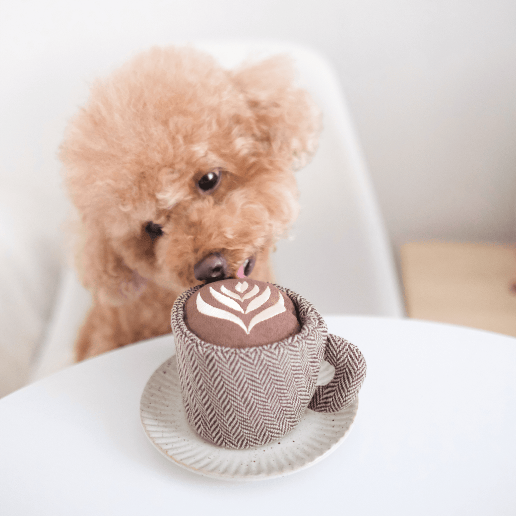 LATTE POP - Lambwolf Collective