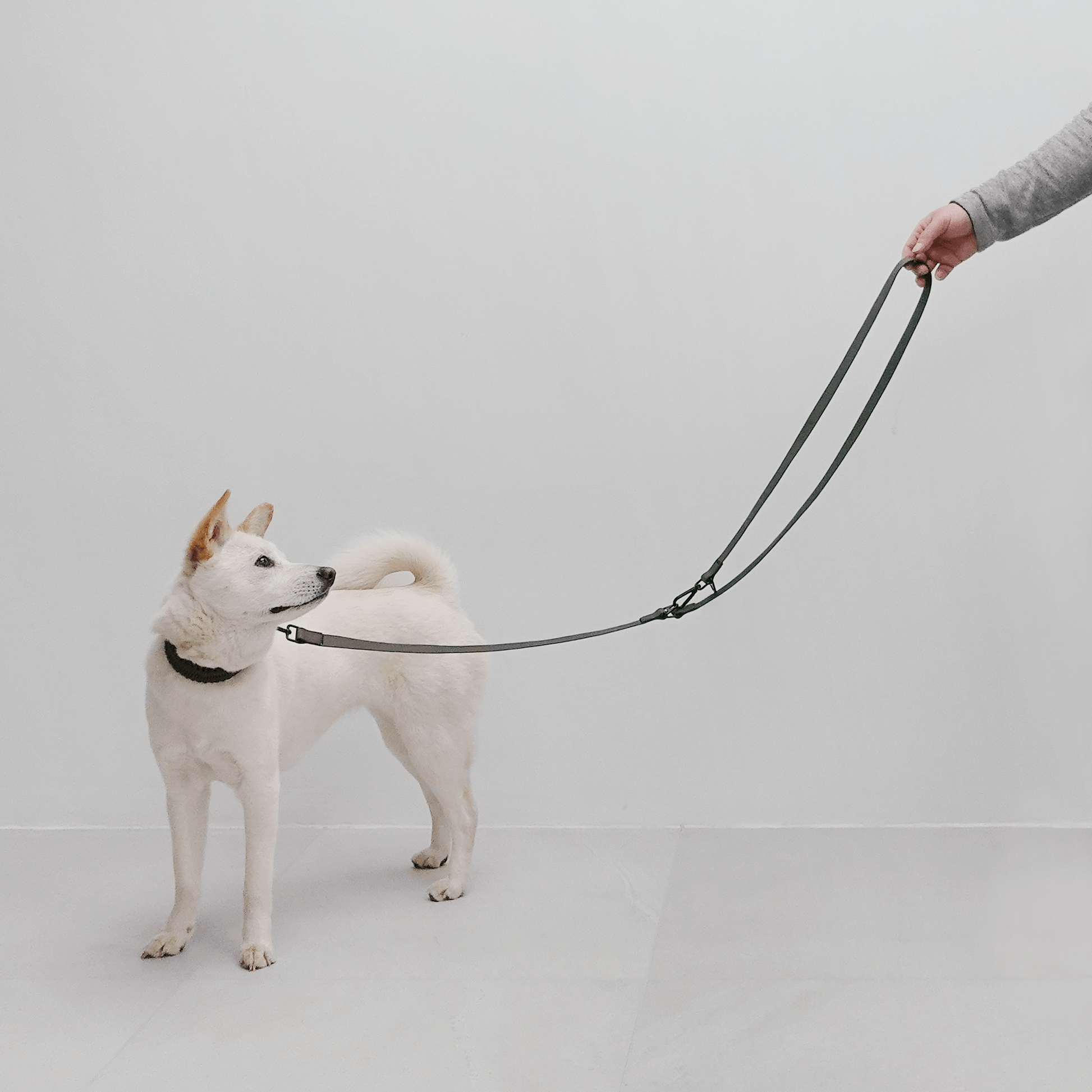 APEX - Long Waterproof Dog Leash | Pet Leash