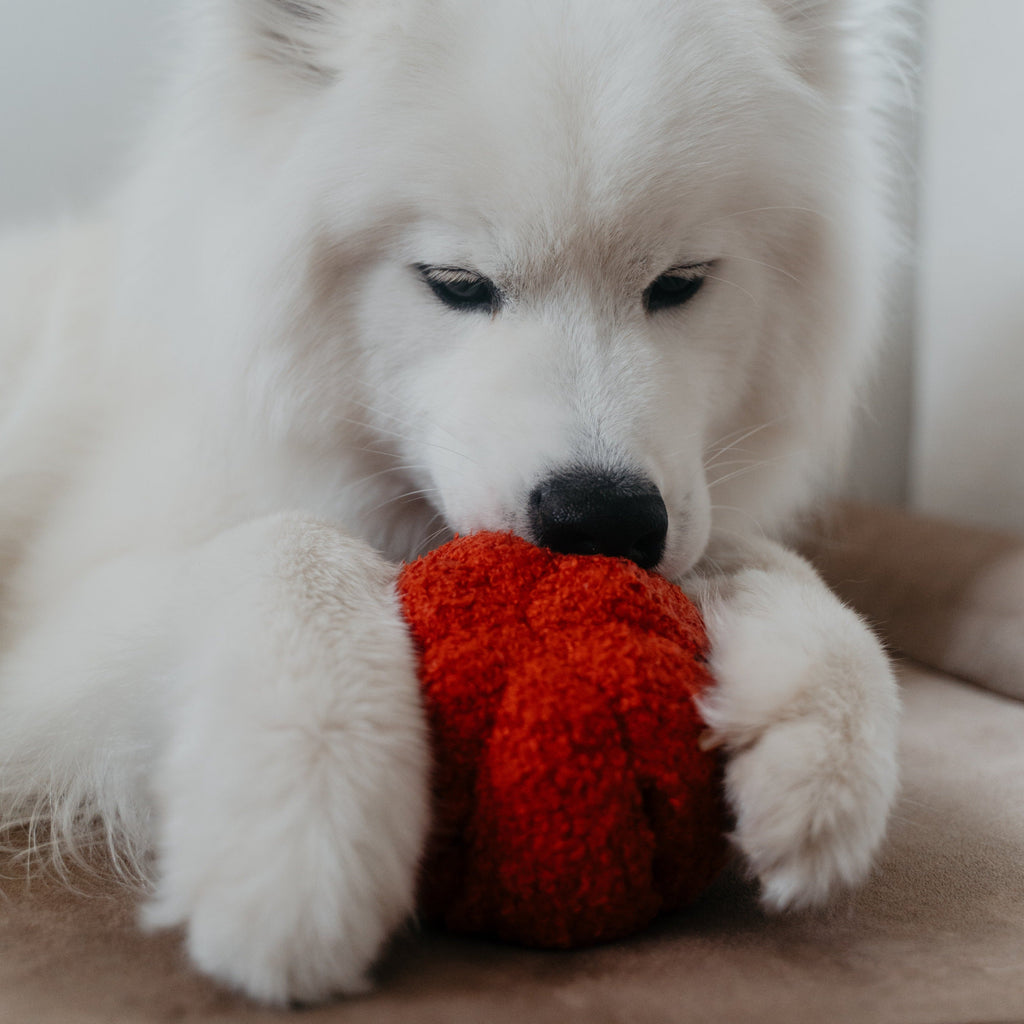 PEPPER - Lambwolf Collective