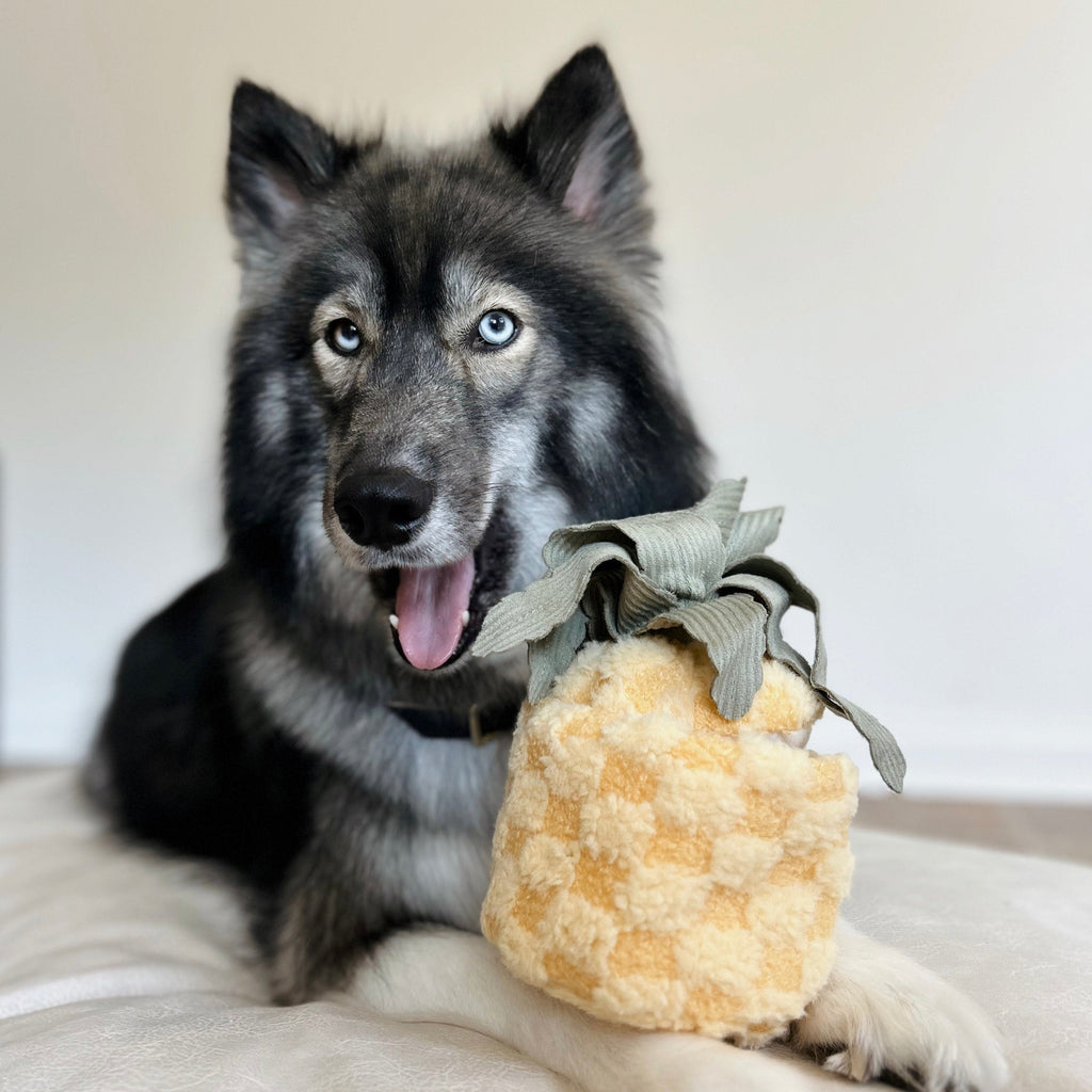 PINEAPPLE POP - Lambwolf Collective