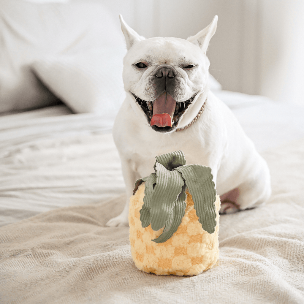 PINEAPPLE POP - Lambwolf Collective