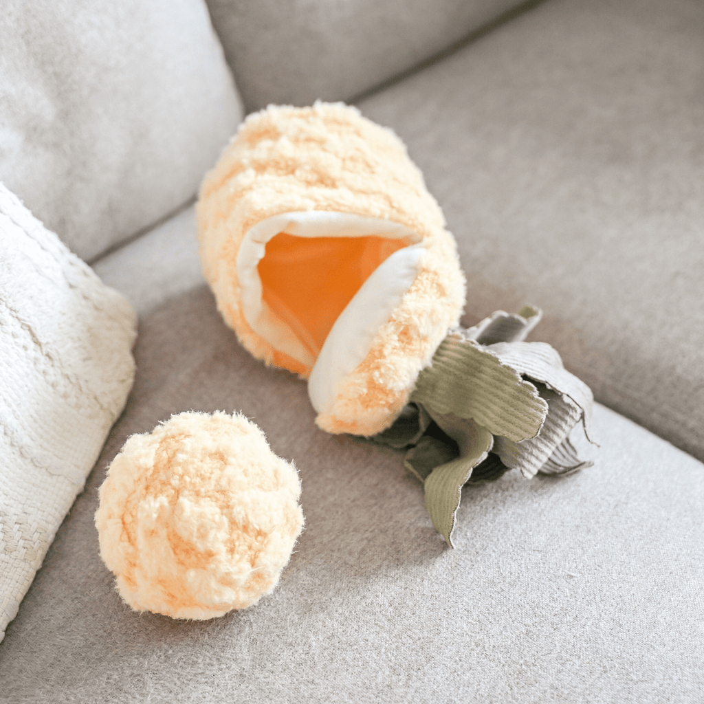 PINEAPPLE POP - Lambwolf Collective