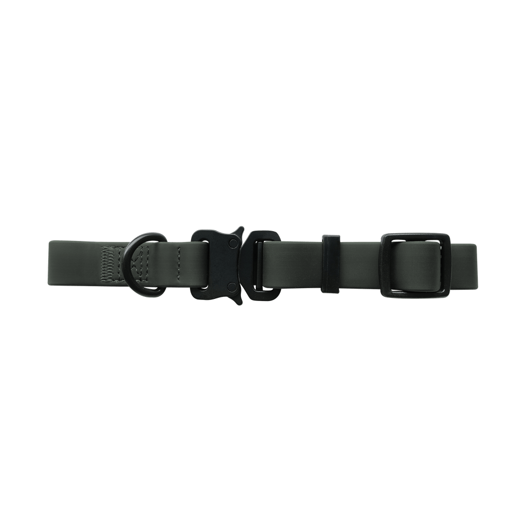 AVA // quick-release metal buckle collar - Lambwolf Collective