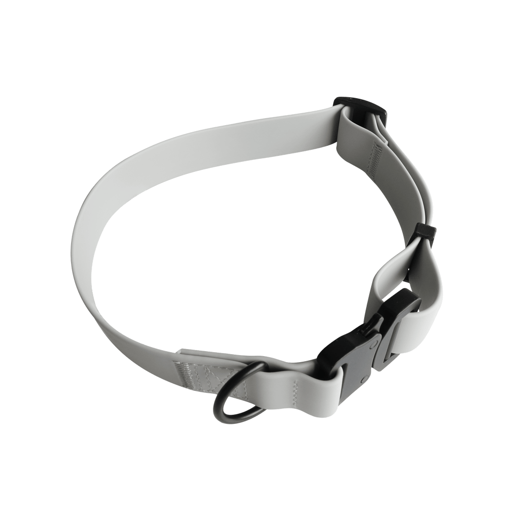 AVA // quick-release metal buckle collar - Lambwolf Collective