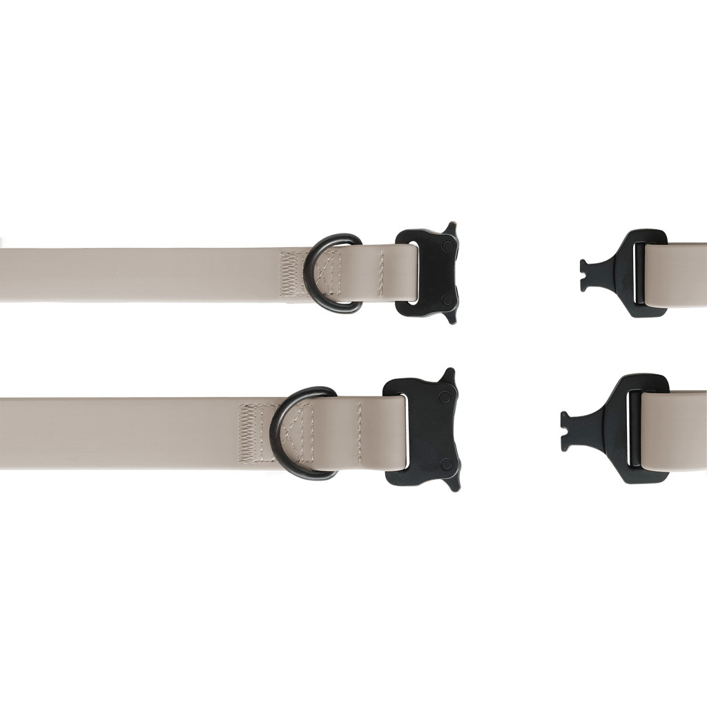 AVA // quick-release metal buckle collar - Lambwolf Collective