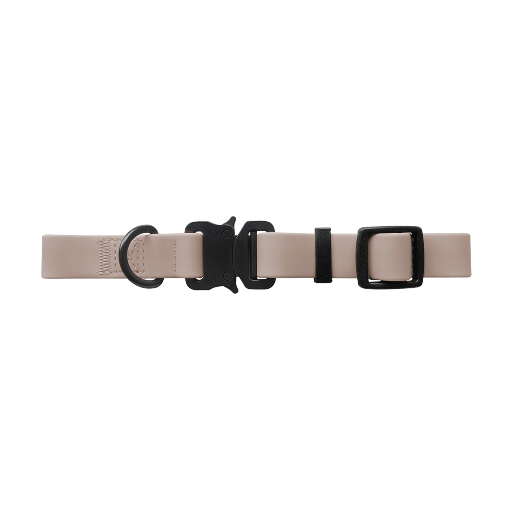AVA // quick-release metal buckle collar - Lambwolf Collective
