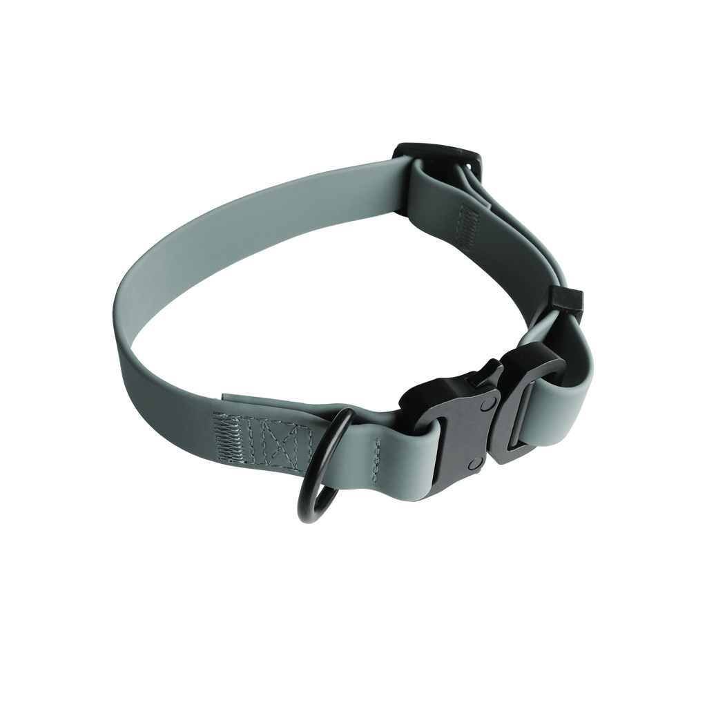 AVA // quick-release metal buckle collar - Lambwolf Collective