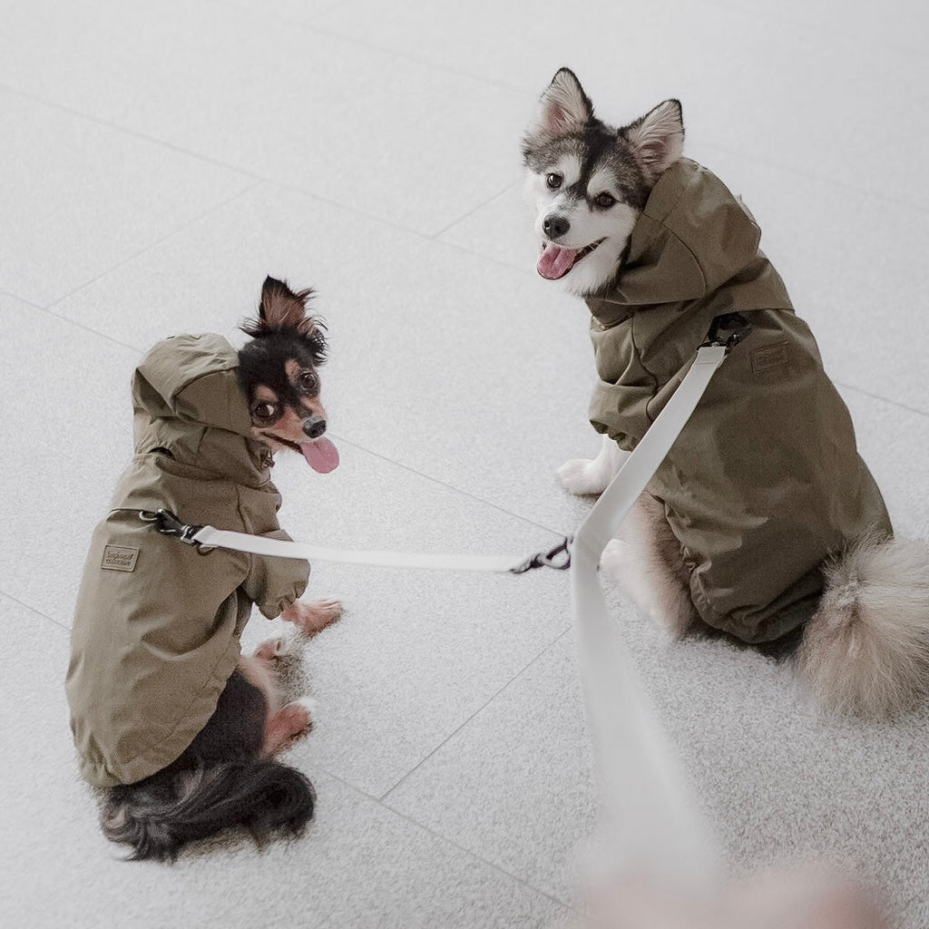 BROOKLYN - Lambwolf Collective