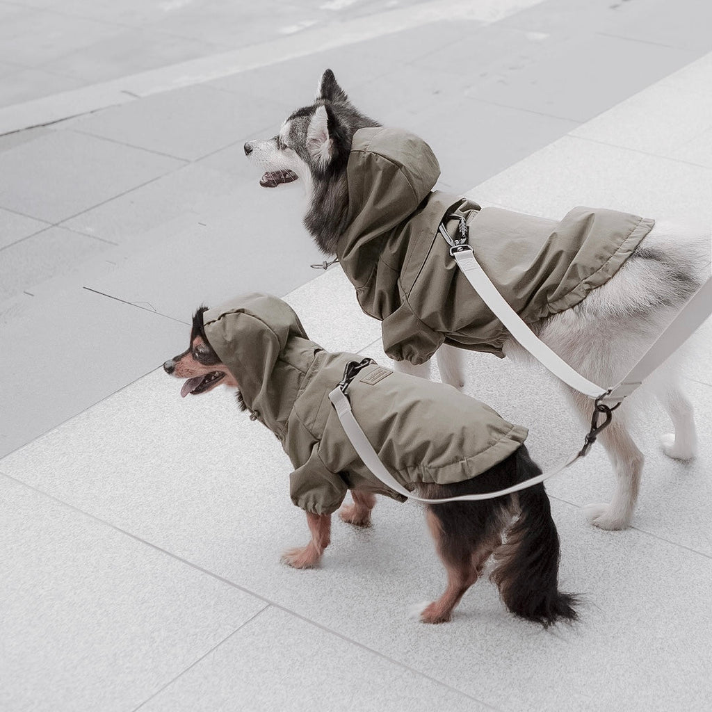 BROOKLYN - Lambwolf Collective
