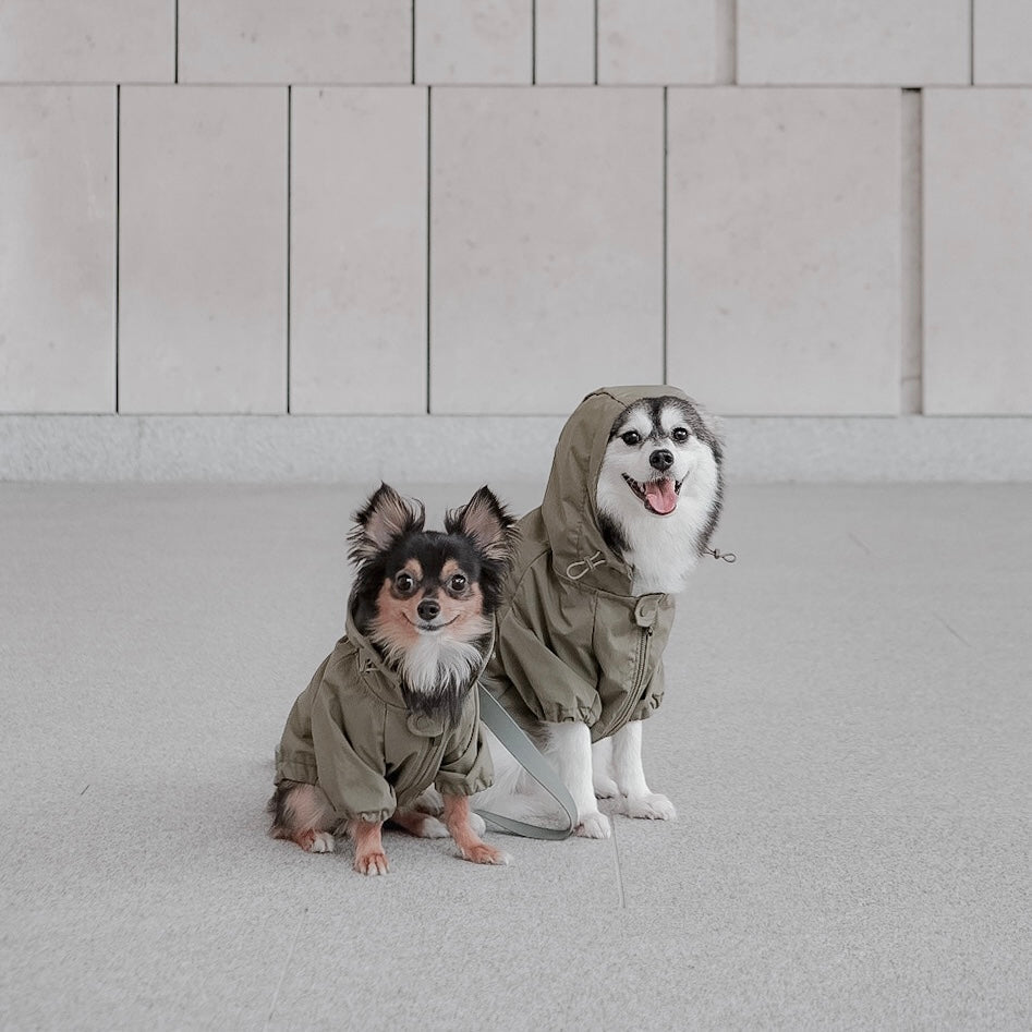 BROOKLYN - Lambwolf Collective