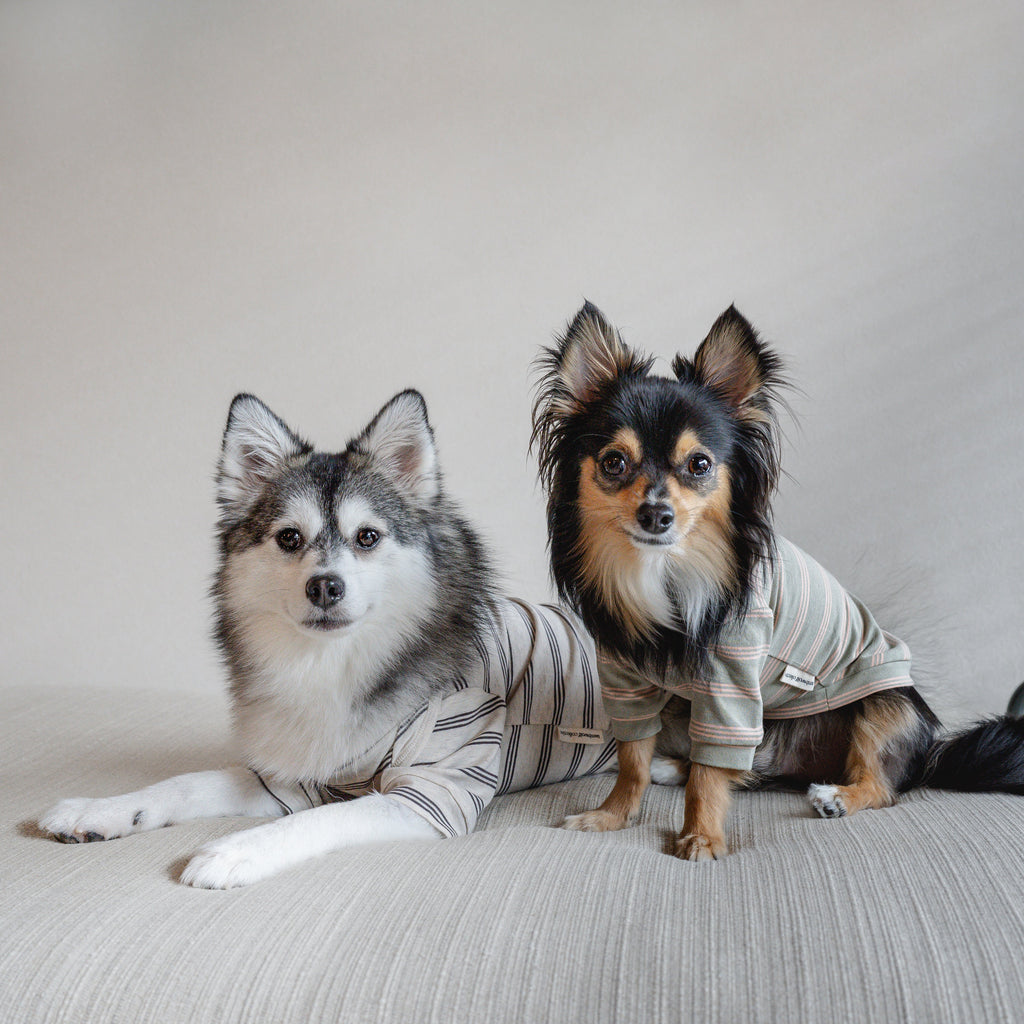 CHELSEA - Lambwolf Collective