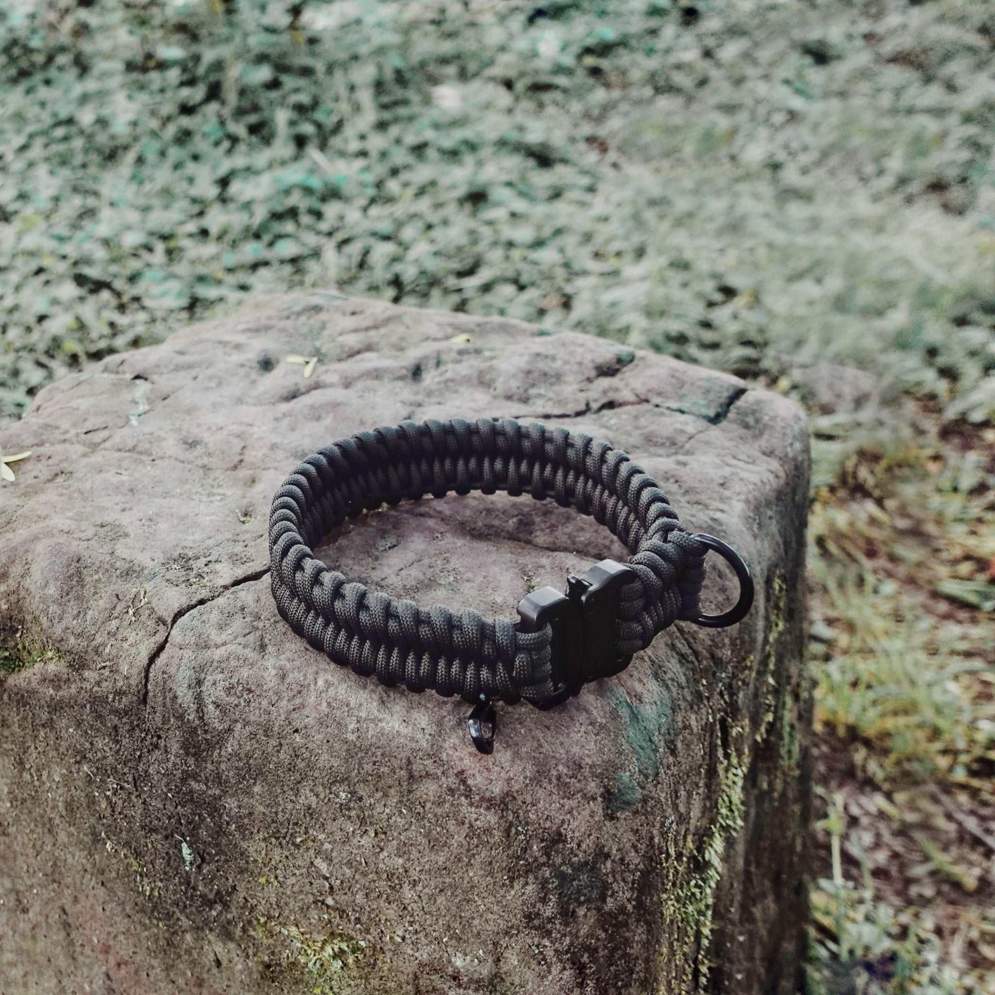 FOSSIL original – Lambwolf Collective FOSSIL original – Lambwolf Collective