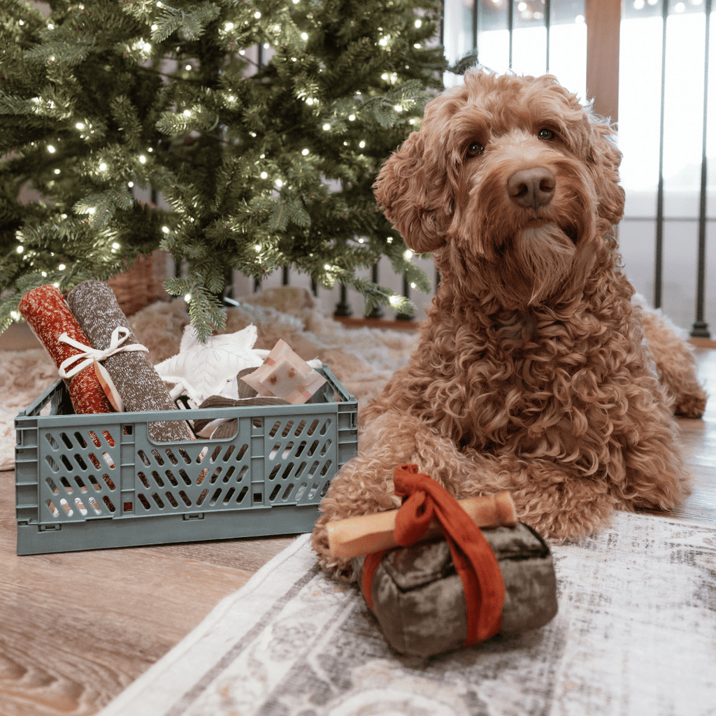 HOLIDAY BOX - Lambwolf Collective