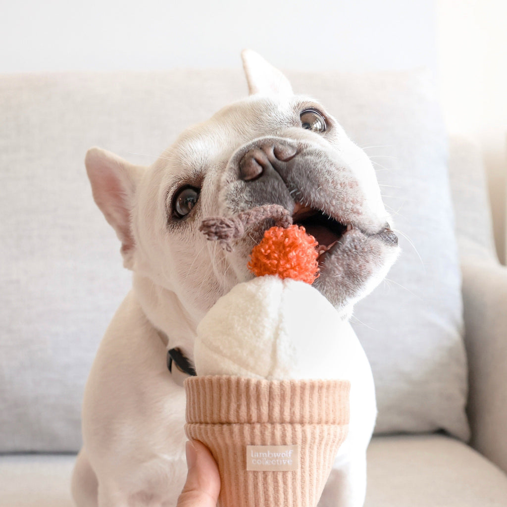ICE CREAM POP - Lambwolf Collective