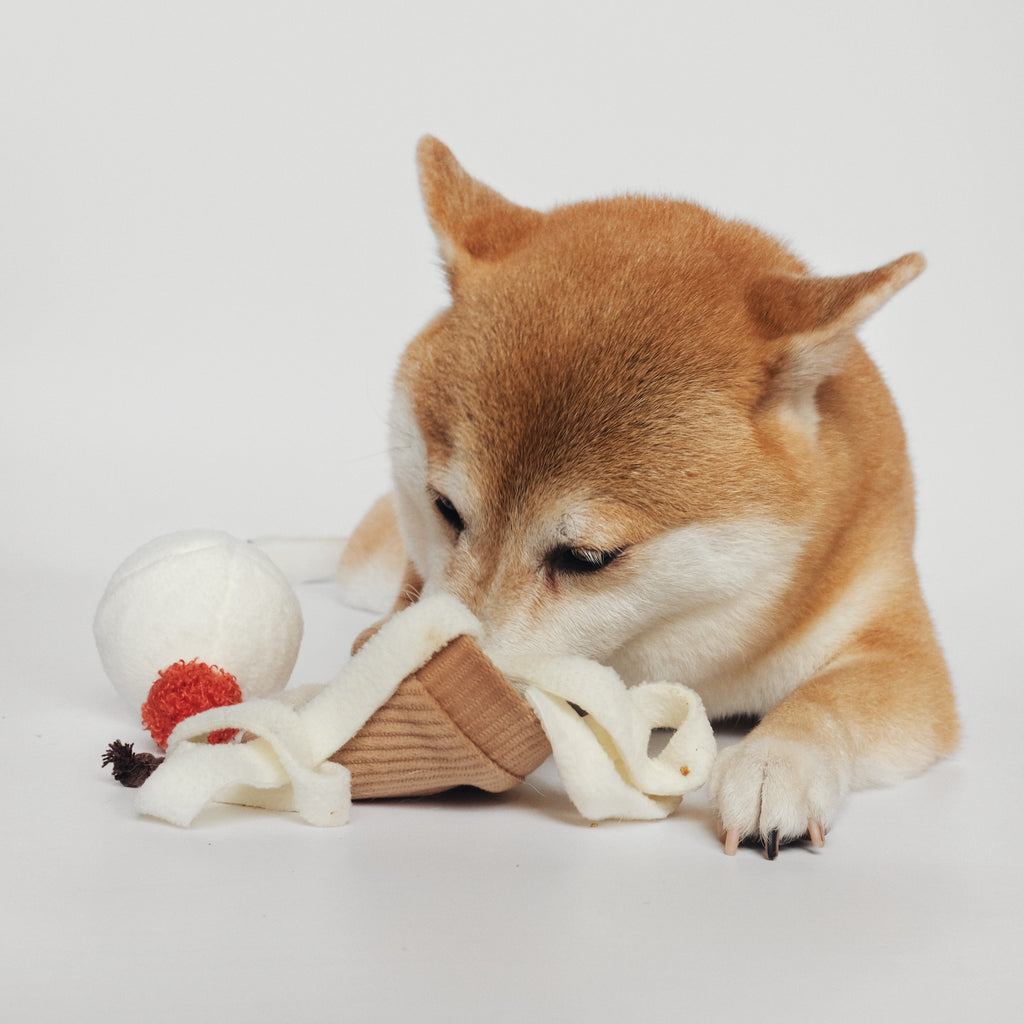 ICE CREAM POP - Lambwolf Collective