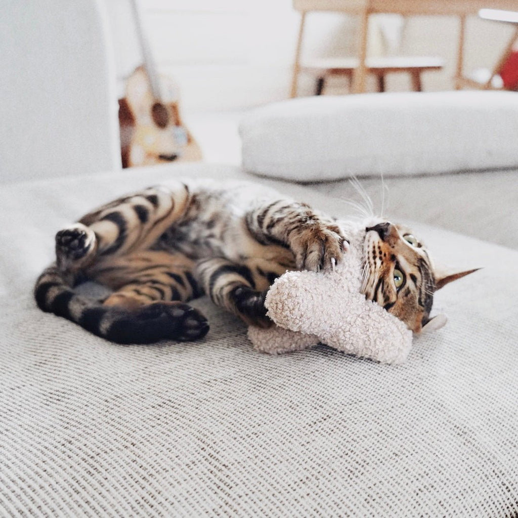 KITTY BREUER - Lambwolf Collective
