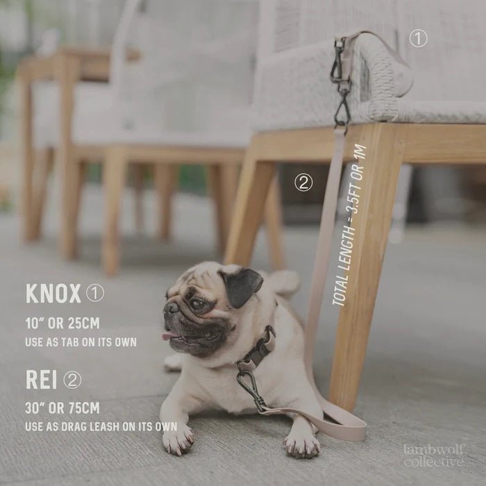 KNOX - Lambwolf Collective
