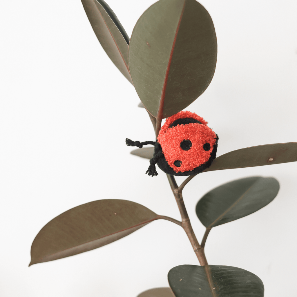LADYBUG POP - Lambwolf Collective