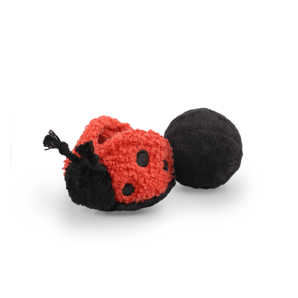 LADYBUG POP - Lambwolf Collective