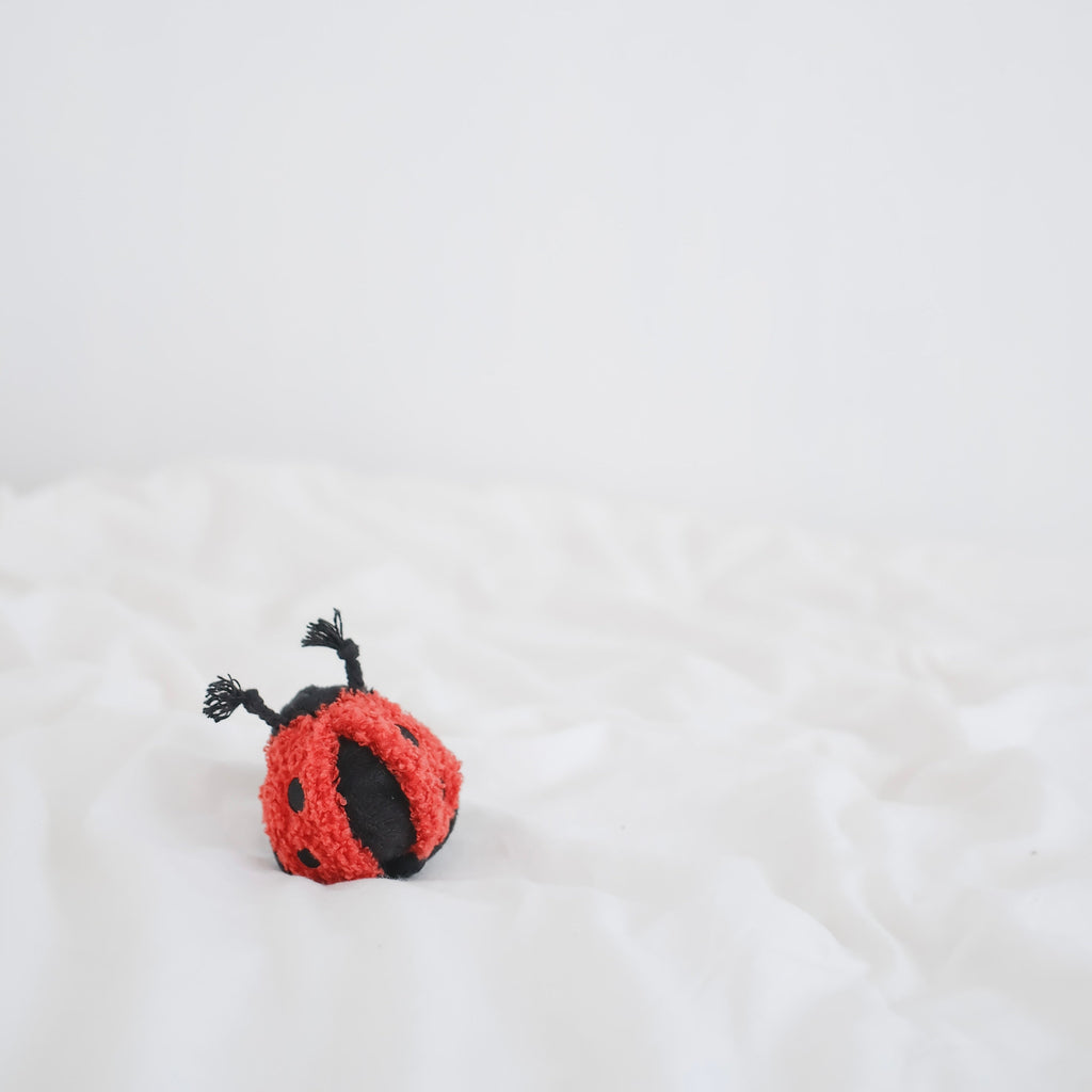 LADYBUG POP - Lambwolf Collective