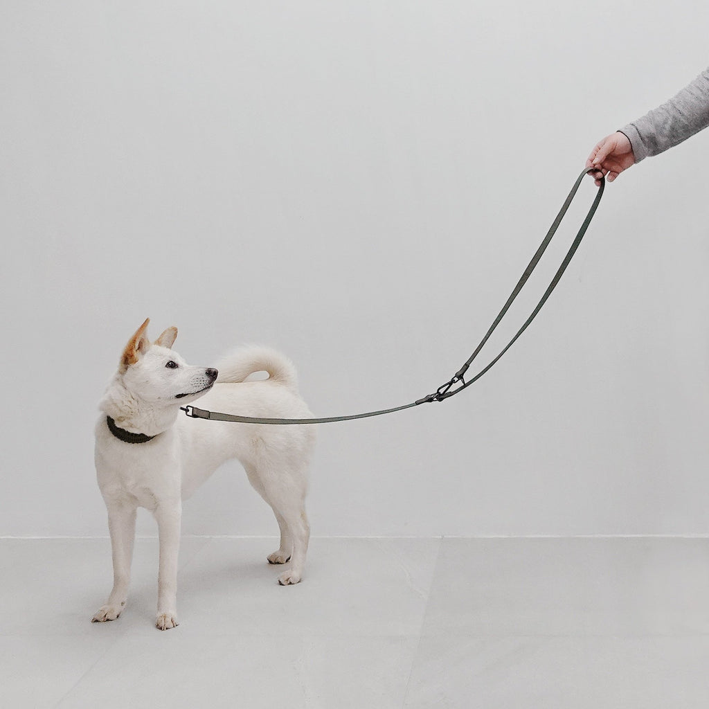 MELLEM // all weather convertible leash / 6ft or 180cm max - Lambwolf Collective