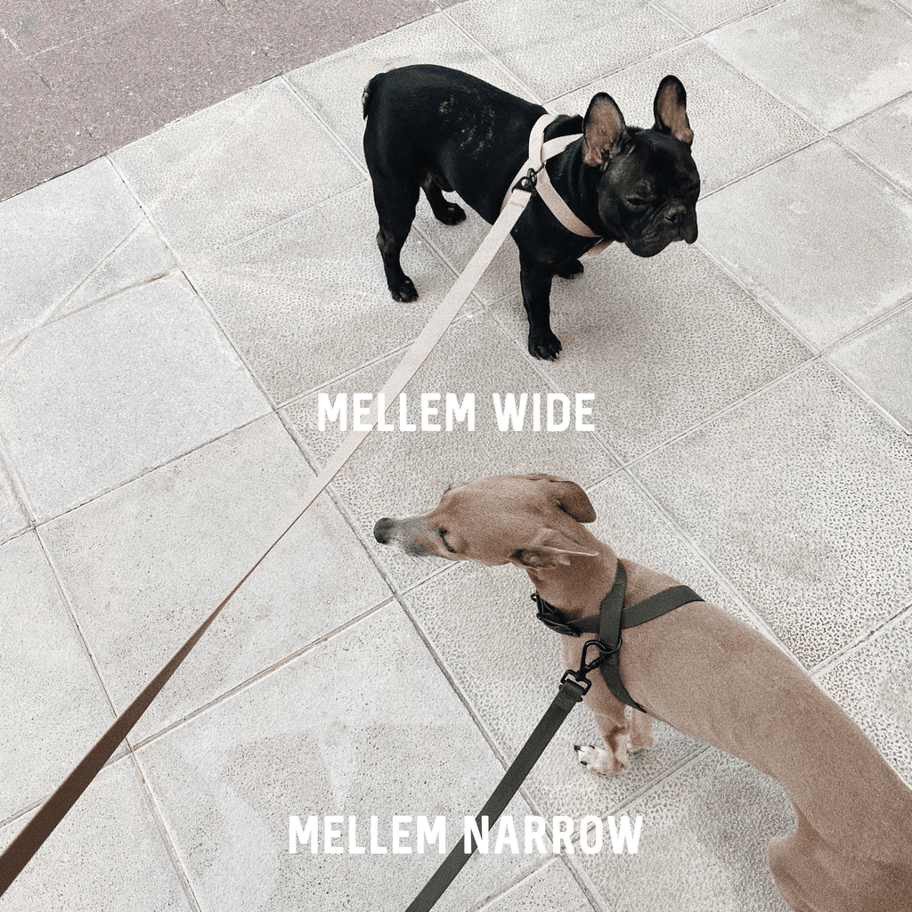 MELLEM narrow // all weather convertible leash / 6ft or 180cm max - Lambwolf Collective