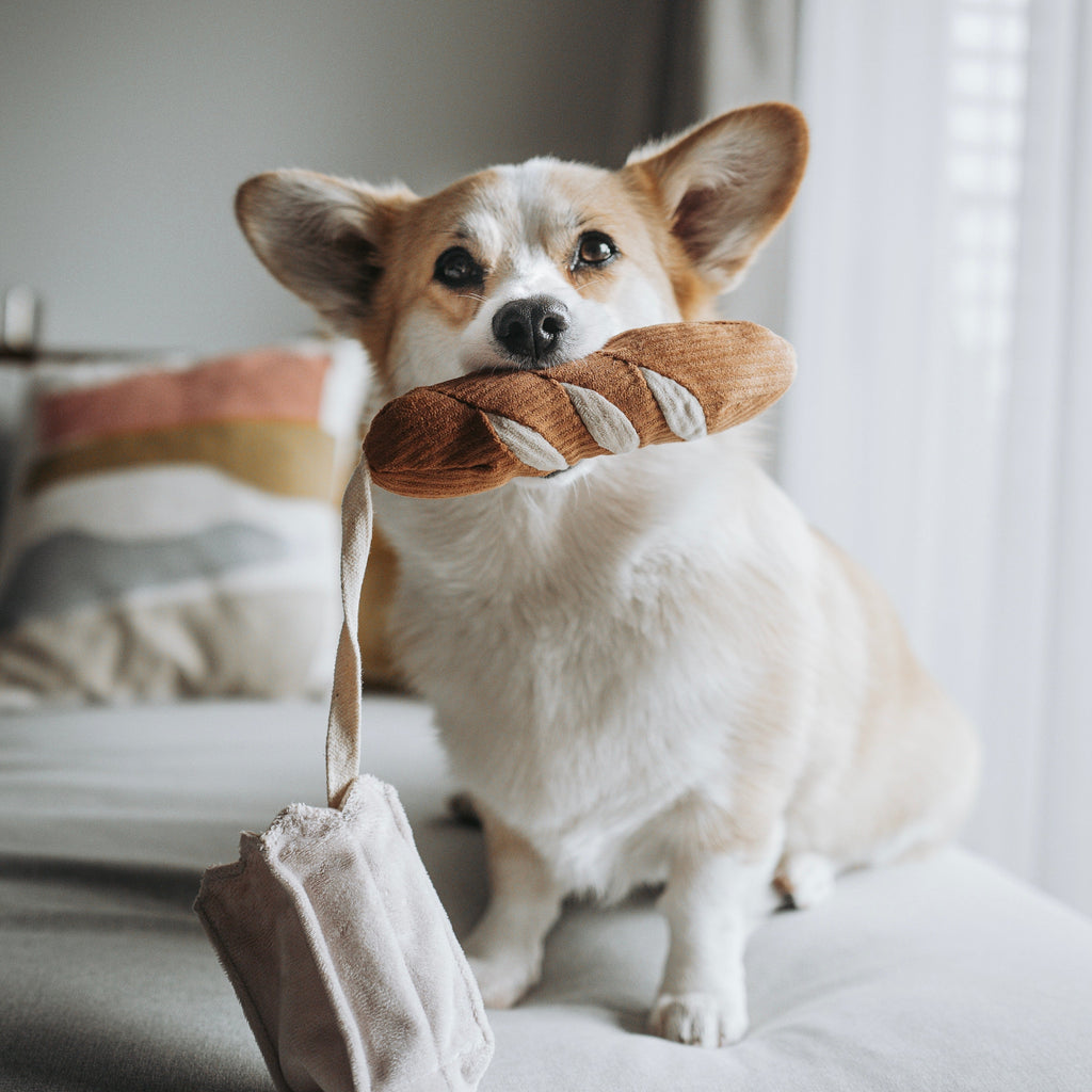 MINI BAGUETTE - Lambwolf Collective