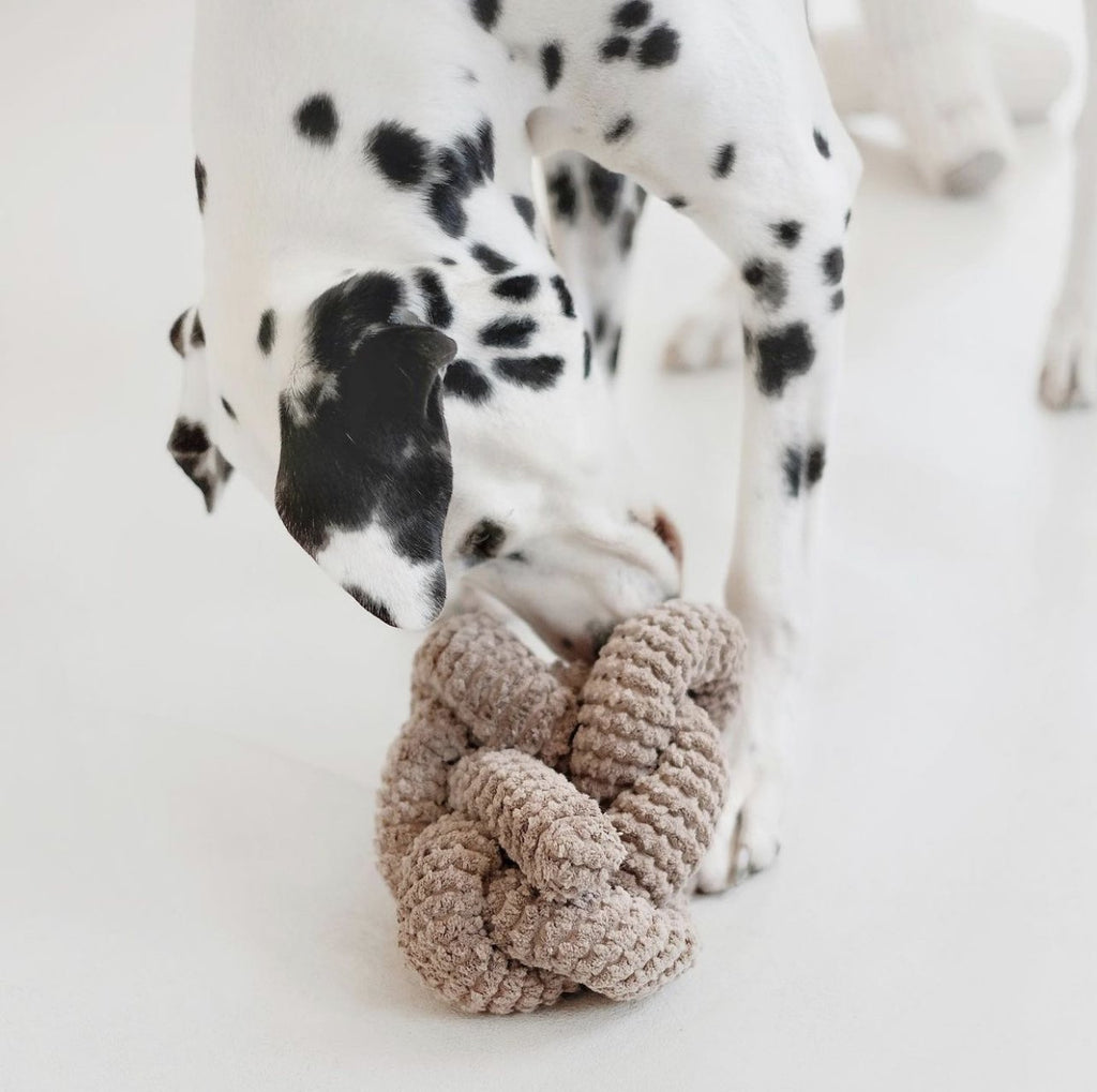 NOU™ crinkly + nylon knit - Lambwolf Collective