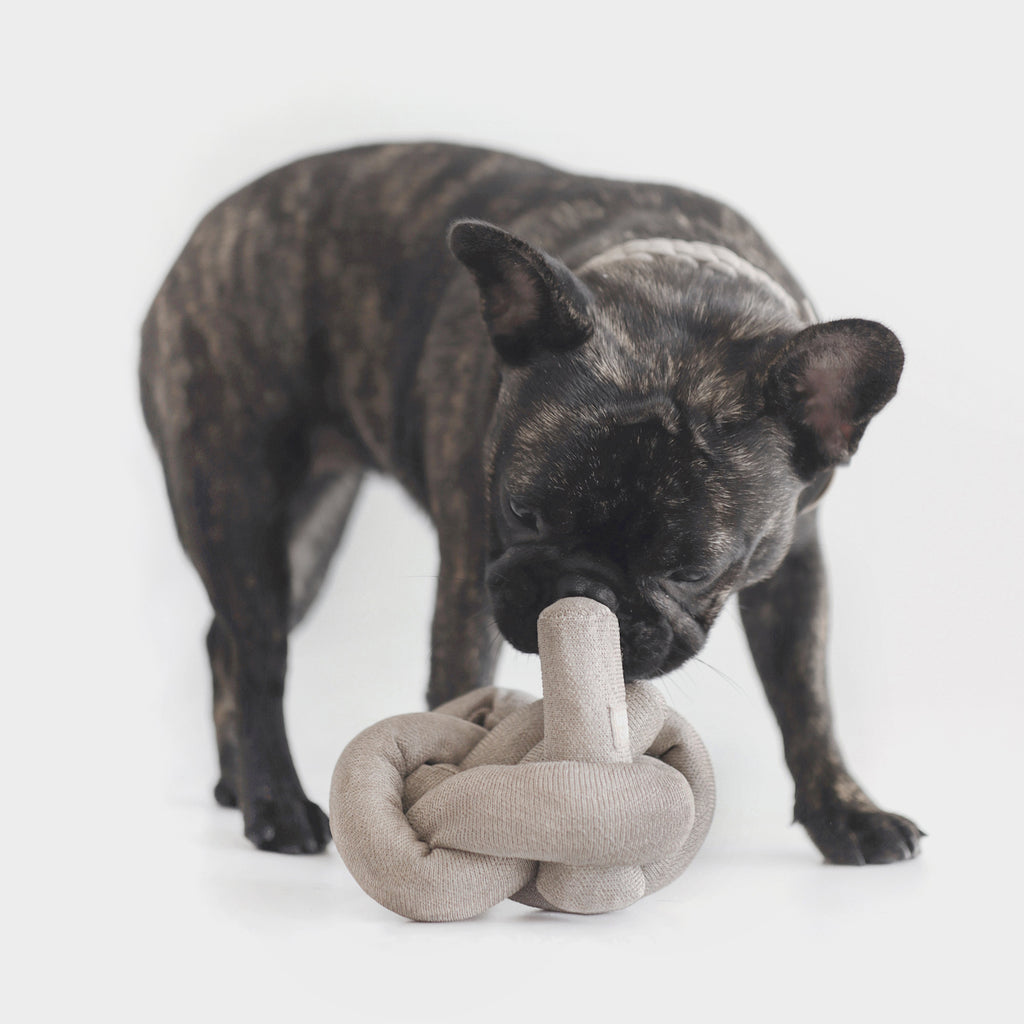 NOUNOU // make your own play object for puppies + kitties - Lambwolf Collective