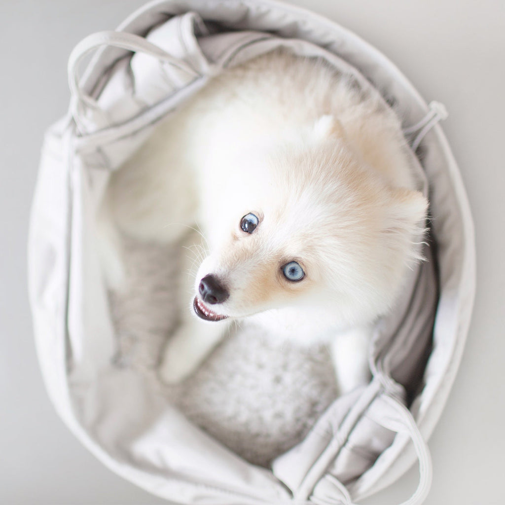 OLLA // petite pet carrycot - Lambwolf Collective