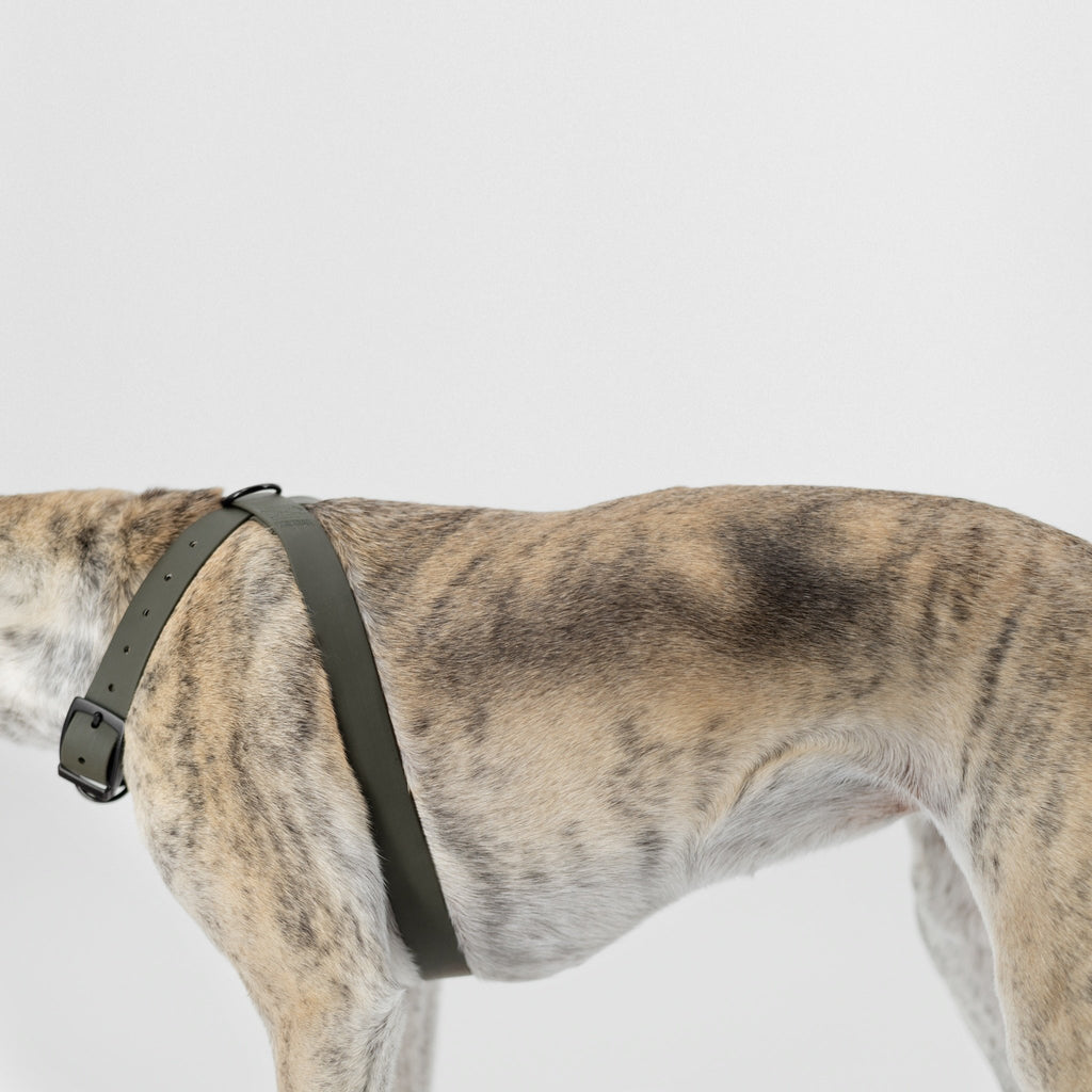 OTTO // figure 8 waterproof harness - Lambwolf Collective