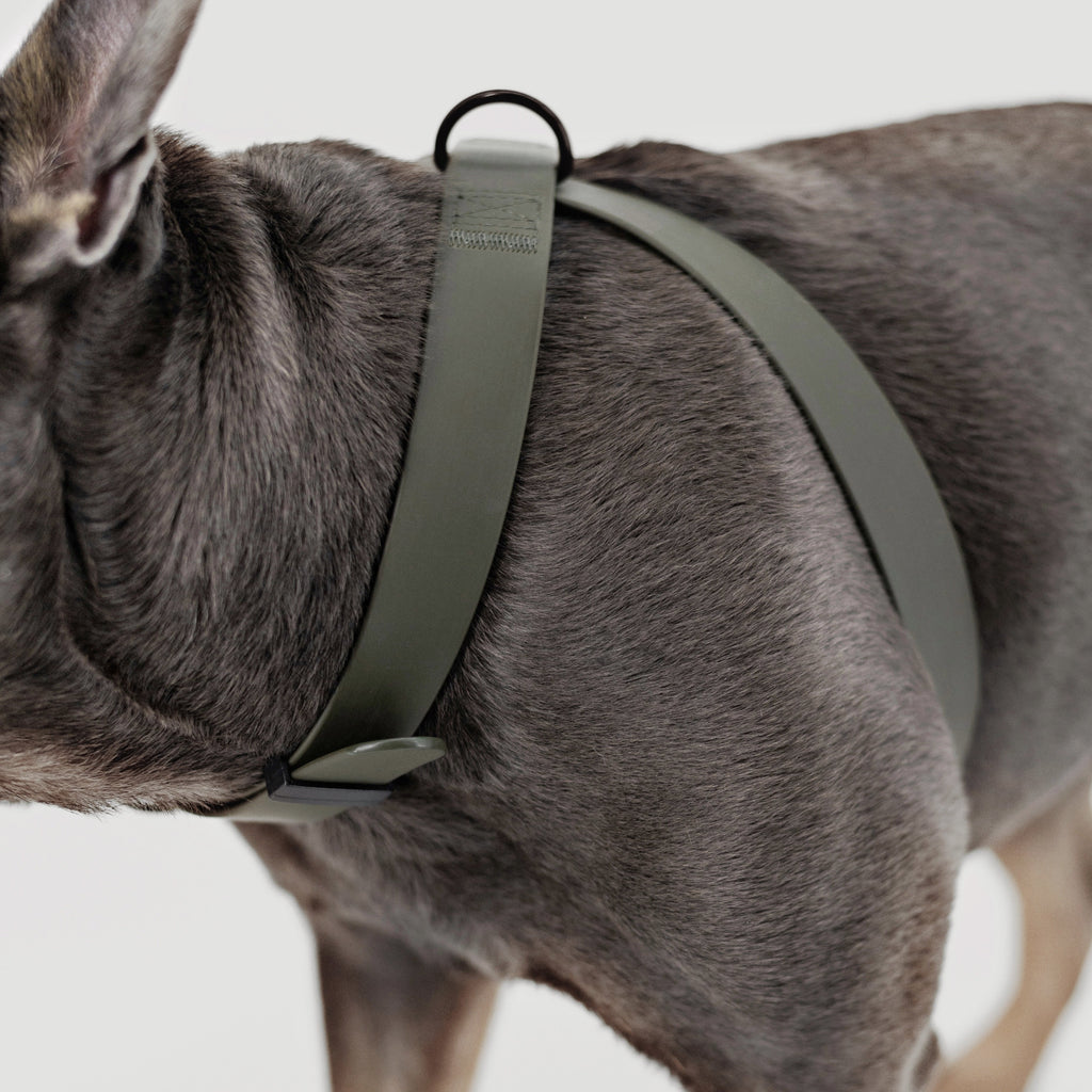 OTTO // figure 8 waterproof harness - Lambwolf Collective