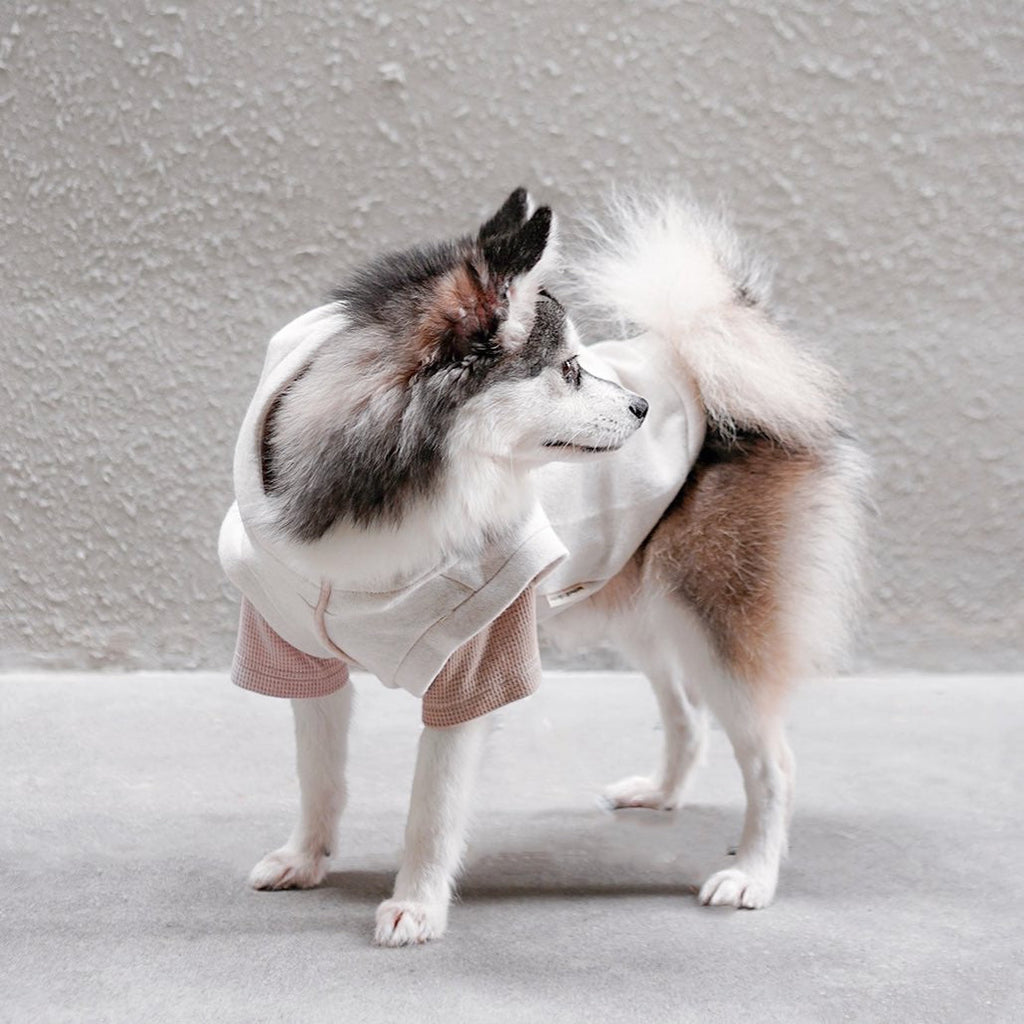 ROBIN - Lambwolf Collective
