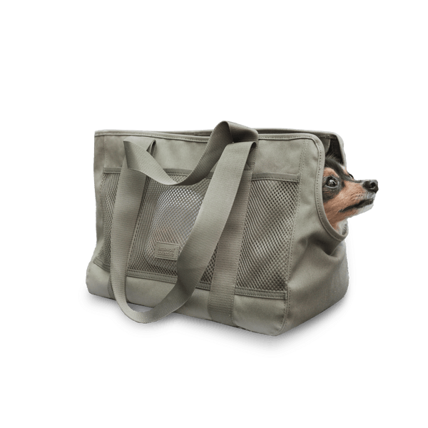 subway-226756_grande.png?v=