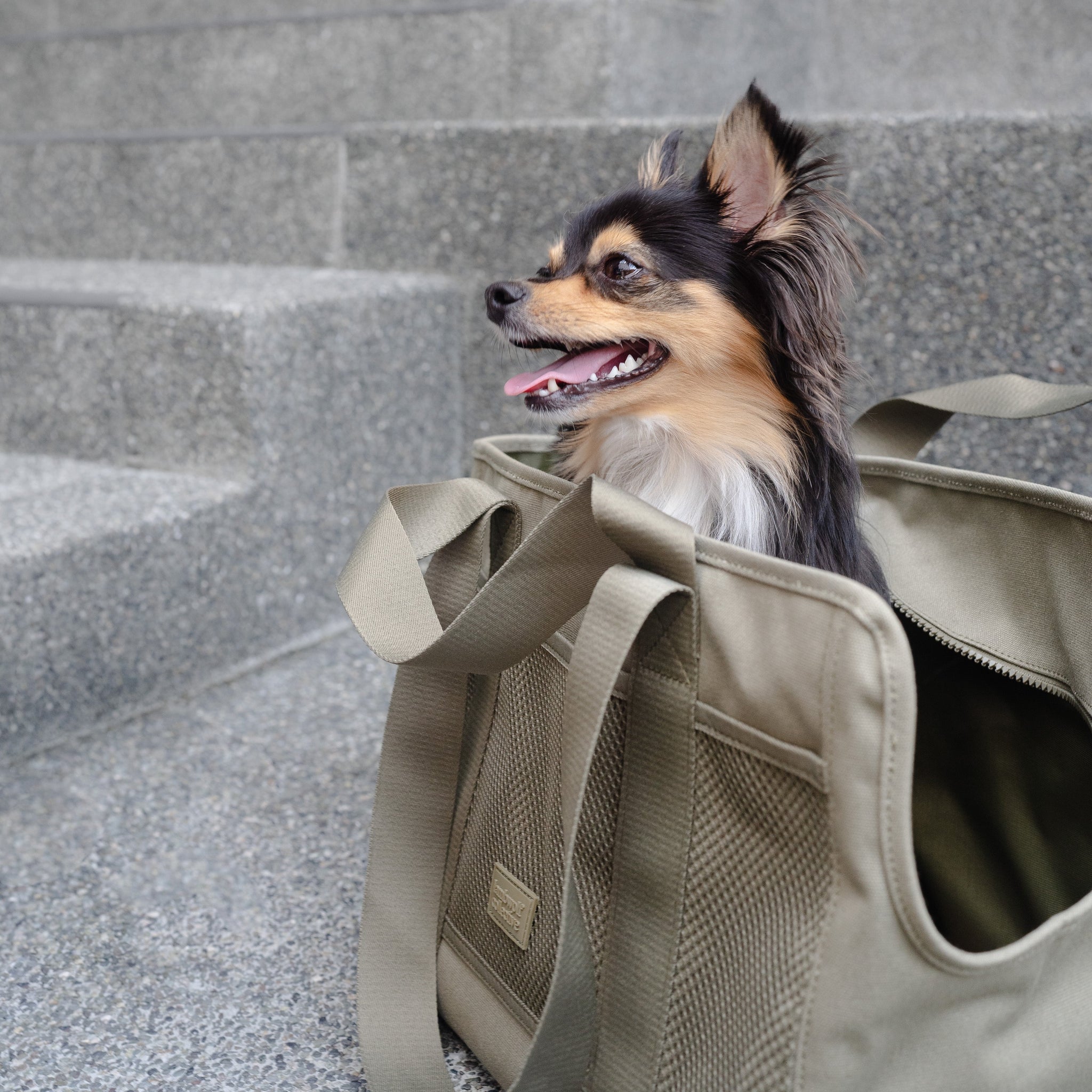 SUBWAY - Dog Carrier | Pet Carrier – Lambwolf Collective
